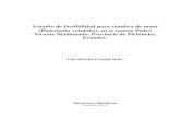 Estudio de factibilidad para siembra de maní (Plukenetia ...bdigital.zamorano.edu/bitstream/11036/1242/1/AGN-2012-T019.pdf · Proyecto especial de graduación del programa de Ingeniería