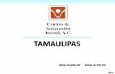 Presentación de PowerPoint - GobEpidemiología del Consumo de drogas Las drogas ilícitas de mayor consumo entre los pacientes de primer ingreso a tratamiento en el estado de Tamaulipas