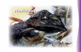 Residuos - WordPress.com · Manejo de residuos peligrosos El manejo y/o disposición seguro de los residuos peligrosos (RP) se aborda mediante la prevención orientada a la reducción