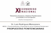 MESA 1: Pronunciamientos y Propuestas en torno al ... Luis Rodriguez... Dr. Luis Rodr£­guez Manzanera
