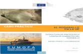 CASO PRÁCTICO EL RODABALLO EN LA UEintermediarios que intervienen en el caso de los productos de pescado salvaje de HORECA. • Las diferencias observadas en el precio de la primera