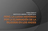 Estela Ospina S INSTITUTO LABORAL ANDINO (ILA). · 480-2008-MINSA se “Aprueban la Norma Técnica de Salud que establece el Listado de Enfermedades Profesionales” ...
