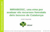 MIRABOSC, una eina per dels boscos de Catalunyaafib.ctfc.cat/wp-content/uploads/2013/04/MiraBosc-on-line-vIFN_CREAF.pdf · consultes de dasometria: • Informació del tipus funcional