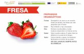 PROGRAMA FINANCIADO TALLER 2 LA HUERTA DE FABIÁN …plandefrutasyhortalizascanarias.es/wp-content/... · Las frutas y hortalizas pueden consumirse en cualquier momento del día.