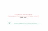 TÉCNICAS DE CULTIVO: RECOLECCIÓN MECANIZADA DEL OLIVAR©cnicas... · Instituto de Investigación y Formación Agraria y Pesquera Serie: Agricultura. Formación D.L.: SE 661-2017