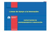 Líneas de Appyoyo a la Innovación - Universidad de Chile · Objetivos Objetivo general • Crear un espacio de estímulo y fomento a la Cultura de Innovación en el agro, desde