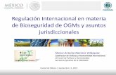 Regulación Internacional en materia de Bioseguridad de ... · El Acuerdo sobre los Aspectos de los Derechos de Propiedad Intelectual relacionados con el Comercio de la OMC, negociado