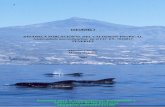 Manuel Carrillo Marisa Tejedor 2003 · observación de cetáceos, con más de 30 barcos comerciales que operan todos los días del año, el ... época de reproducción y actividad