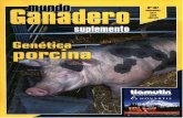 Revista MG Mundo Ganadero - mapa.gob.es€¦ · En cuanto al número de cerdos en cebo de m^ís dc 50 kg, la cifi^a en la UE-25 supcra los 58,2 millones de cabezas (de las cuales