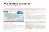 OFICINA DE INFORMACIÓN DIPLOMÁTICA FICHA PAÍS Arabia Saudíobservatoriorli.com/docs/ARABIA_SAUDI/FICHA_PAIS_Arabia_Saudi.… · PRINCIPALES CLIENTES MILES DE MILLONES DE USD 1.