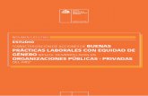 ESTUDIO BUENAS PRÁCTICAS LABORALES CON EQUIDAD DE ... · PDF file Caracterización de Acciones de Buenas Prácticas Laborales con Equidad de Género (BPLEG), desarrolladas en organizaciones