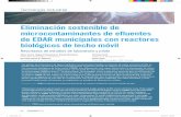 Eliminación sostenible de microcontaminantes de efluentes de …€¦ · to de biomasa; y (iii) la falta de carbono y nutrientes en las aguas residuales de los efluentes como elementos