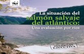 La situación del salmón salvaje del atlántico · la situaciÓn del salmÓn salvaje del atlÁntico: una evaluaciÓn por rÍos En Escocia,agradecemos su investigación y apoyo a