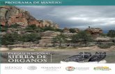 Imagen del Área - Consejo Nacional de Áreas Naturales ...del estado de Zacatecas, en el municipio de Sombrerete, y se distingue principalmente por la magni•cencia de sus geoformas,
