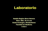 SINTESIS DE FOSFOLIPDOSmedicina.udea.edu.co/Emd/Metabolismo/Lipidos/LIP-LabCOL-2010-2.pdfe informacion adicional del laboratorio clinico. Objetivos. El colesterol ... - Ácido sulfúrico