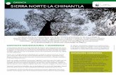 10 oaxaca Sierra norte-La chinantLad2ouvy59p0dg6k.cloudfront.net/downloads/fs10_oaxaca_sierra_norte.pdf · los distritos políticos de Ixtlán y Villa Alta (51 municipios), donde
