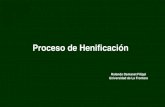 Proceso de Henificación - Iniciopraderasypasturas.com/.../08.-Elaboracion_de_Heno.pdf · leguminosas, pero al mismo estado de desarrollo las leguminosas proporcionan un heno de mayor