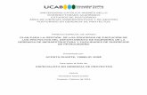 UNIVERSIDAD CATÓLICA ANDRÉS BELLO VICERRECTORADO …biblioteca2.ucab.edu.ve/anexos/biblioteca/marc/texto/AAT... · 2019-07-11 · Plan Estratégico de la Organización. En los últimos
