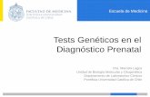 Tests Genéticos en el Diagnóstico Prenatal · •No es útil en rearreglos balanceados (translocaciones e inversiones) •En el genoma humano se identifican tres tipos de CNVs (variación