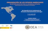 ORGANIZACIÓN DE LOS ESTADOS AMERICANOSde los recursos hídricos y Seguridad Hídrica. •Apoyo a las gestiones de las Comisiones Binacionales y Regionales (Estados) en el ámbito