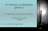 El Cálculo y la Biología (parte I) · El Cálculo y la Biología (parte I) UA: Aplicación del Cálculo a la Biología Facultad de Ciencias UAEMex Dr. en C.A. Pedro Del Aguila Juárez