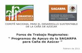 Foros de Trabajo Regionales: “ Programas de Apoyo de la ... resultados.pdf · SAGARPA destinados a la caña de azúcar, para el ejercicio fiscal 2011 a los Comités de Producción