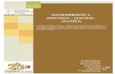 MICRORREGIÓN 1: ZAPOTECA – CHATINA - MIXTECA · MIXTECA El presente documento constituye la Síntesis Ejecutiva del Programa de Desarrollo de la “Microrregión 1, Zapoteca –