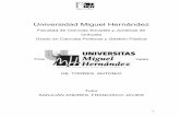 Universidad Miguel Hernándezdspace.umh.es/bitstream/11000/2740/1/TFG Gil Torres, Antonio.pdf · Se venía de haber sufrido y padecido en su propio territorio las consecuencias del