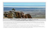 NEVADO DEL CHAÑI - 5.896 m.s.n.m.champaqui.com.ar/pdf/jujuy.pdf · 4 al 11 del Mayo 2019 - Jujuy (Acceso Quebrada de León - Ovejería - Refugio Militar) No sólo el Nevado de Chañi