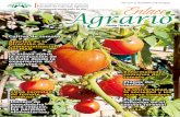 Cultivo de tomate - agr.una.py · Manejo de poscosecha para reducir las pérdidas alimentarias La universidad, la sociedad y los nuevos tiempos Requisitos técnicos para el cultivo