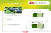 Resultados en cultivos: Arándano · Resultados en cultivos: Arándano (Vaccinium myrtillus) Incremento de carga frutal por planta. Incremento del contenido en calcio en frutos. 12,5