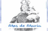 PUBLICACIONES PASTORAL UC · 2017-11-06 · ndice María Madre de Dios 5 15 25 35 45 49 Inmaculada Concepción María siempre virgen La Asunción Triduo final: Virgen del Carmen,