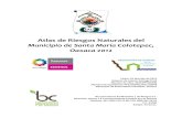Atlas de Riesgos Naturales del - Oaxaca · Atlas de Riesgos del Municipio de Santa María Colotepec, Oaxaca 2012 Número de Avance: Entrega Final 1 1. Antecedentes e Introducción