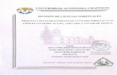 Agradecimientosdicifo.chapingo.mx/pdf/tesislic/2019/García_Correa... · Cuadro 1. Criterios y características a considerar para el establecimiento de un vivero 8 Cuadro 2. Las mezclas