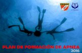 Plan formativo de apnea€¦ · - Instructor Nacional de Apnea 3* FEDAS - Instructor de pesca submarina FEDAS - Instructor de SVB – 02 FEDAS – DEA (Generalitat Valenciana) - Buceador