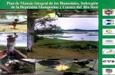  · Depresión Momposina y Cuenca del río Sinú), modificada (UN, 2000) Sinopsis de las unidades geomorfológicas presentes en las llanuras Aluviales. Subregiones Depresión Momposina