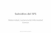 Subsidios del SFS - Pantallas - TSS · 2013-04-09 · Maternidad, Lactancia & Enfermedad Comun PARA USO INTERNO SOLAMENTE. Pantallas • Subsidios de Maternidad & Lactancia – Registro