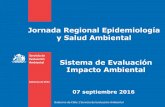 Jornada Regional Epidemiología y Salud Ambiental …info.seremisaludatacama.cl/documents/Jornada_Epi Amb_USA...Gobierno de Chile - Servicio de Evaluación Ambiental b. Funciones (*)