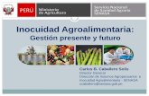 Inocuidad Agroalimentaria - IPEHipeh.com.pe/presentaciones/11-de-noviembre/5Carlos_Caballero_Ino… · Decreto Legislativo Nº 1062: Ley de Inocuidad de los Alimentos . 2. Decreto