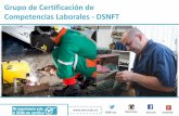Grupo de Certificación de Competencias Laborales -DSNFT · 2016-11-24 · Certificado o constancia laboral, que evidencie un año de experiencia laboral en el áreaa certificar.