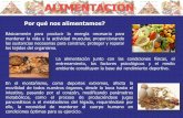 Por qué nos alimentamos? - Club de Andinismo Alimentacion por Elal.pdf · La actividad física moderada favorece la calcificación de los huesos, sin embargo la elevada intensidad