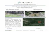 Informe de proyecto ejecutado - naturalea.eu€¦ · Informe de proyecto ejecutado Creación de la balsa del torrente de Samont ... dos pequeñas presas en el curso del canal consolidadas