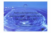 Autoadministración, autogestión y naturaleza de las aguas ... · Autoadministración, autogestión y naturaleza de las aguas en Chile Alejandro Vergara Blanco Pontificia Universidad