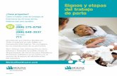 Signos y etapas del trabajo de parto - Molina Healthcare · Signos y etapas del trabajo de parto Distribuido por Molina Healthcare. Todo el material en este folleto es meramente informativo.