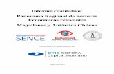 Informe cualitativo: Panorama Regional de Sectores Económicos … · 2018-07-24 · Informe cualitativo: Panorama Regional de Sectores Económicos relevantes Magallanes y Antártica