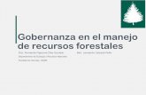Gobernanza en el manejo de recursos forestales€¦ · La heterogeneidad socioeconómica, cultural y ambiental en las regiones en las que se aplican programas como el PSA influye