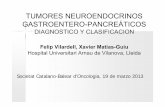 TUMORES NEUROENDOCRINOS GASTROENTERO-PANCREÁTICOS · CRITERIOS PARA LA CLASIFICACIÓN CLINICOPATOLÓGICA DE LOS TUMORES ENDOCRINOS PANCREÁTICOS (OMS 2004) 1.Tumor endocrino bien