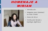 HOMENAJE A MIRIAN - Universidad de La Rioja€¦ · HOMENAJE A MIRIAN Introducción ... de orden superior) Asumimos un programa Common Lisp programa1 con las siguientes características: