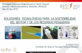 SOLUCIONES TECNOLÓGICAS PARA LA ......2017/10/03  · Tecnologías Pesqueras Inteligentes para un Sector Pesquero Eficiente, y Medioambientalmente Sostenible (NAVALIA; Vigo, 25 mayo