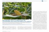 Resultados de la evaluación de variedades de maíz ... · tabilidad del cultivo de maíz, pues el 70 % de los costes de producción del culti-vo del maíz para ensilar es fijo. La